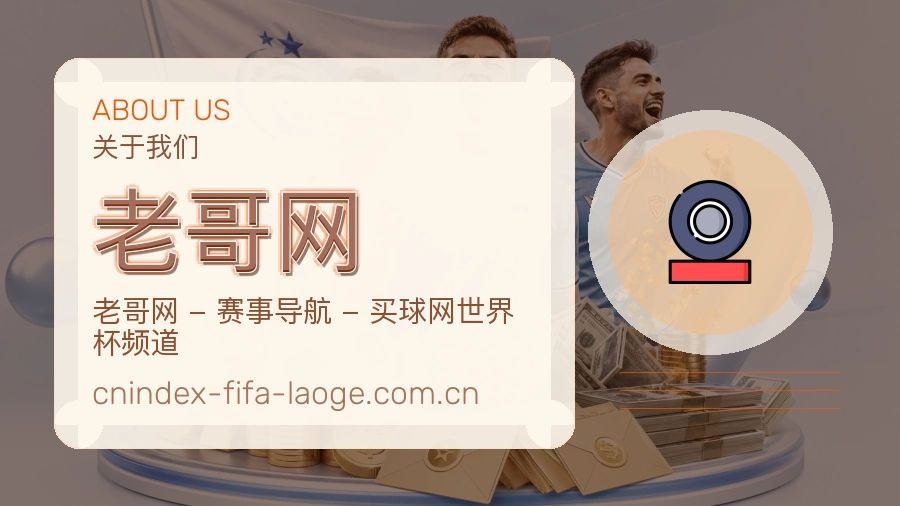 老哥网发展介绍